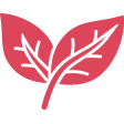 Leaf Icon