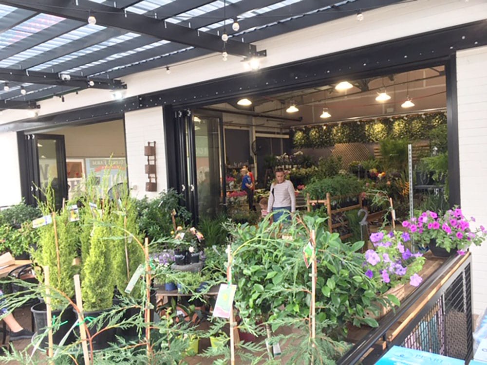 Harris Farm Markets Cooks Hill_Florist Nursery Cafe seating