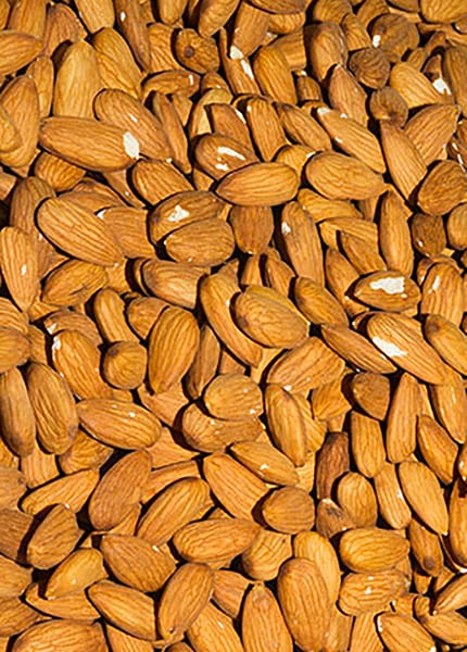 pesticde free Almonds Chipped & Broken grade for Baking