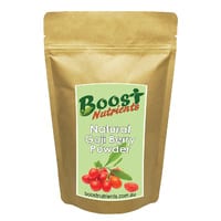 Goji Berry Fruit Powder 100g - Boost Nutrients