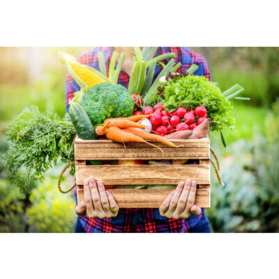 Organic Fruit and Vegetables - Understanding Pesticides in our Produce