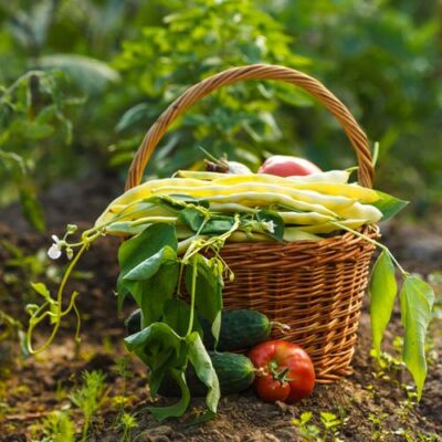 The Benefits of Organic Food