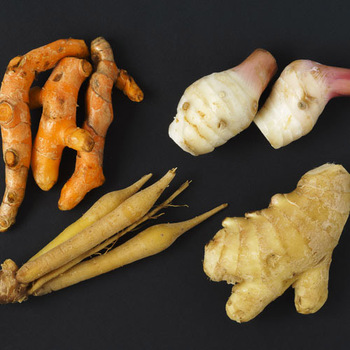 Galangal vs ginger...and turmeric