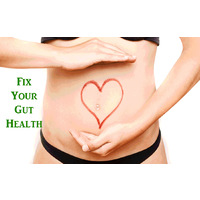 Fix Gut Health with a Regular Dose of Quality Organic Kombucha