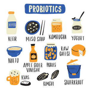 Kombucha and Yogurt - Both Beneficial Bacteria