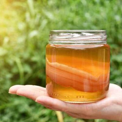 From Gut Health to Detox: The Benefits of Kombucha